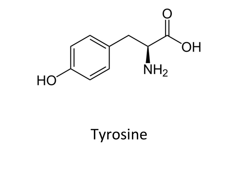 Tirozin v zxcvbnmqwert