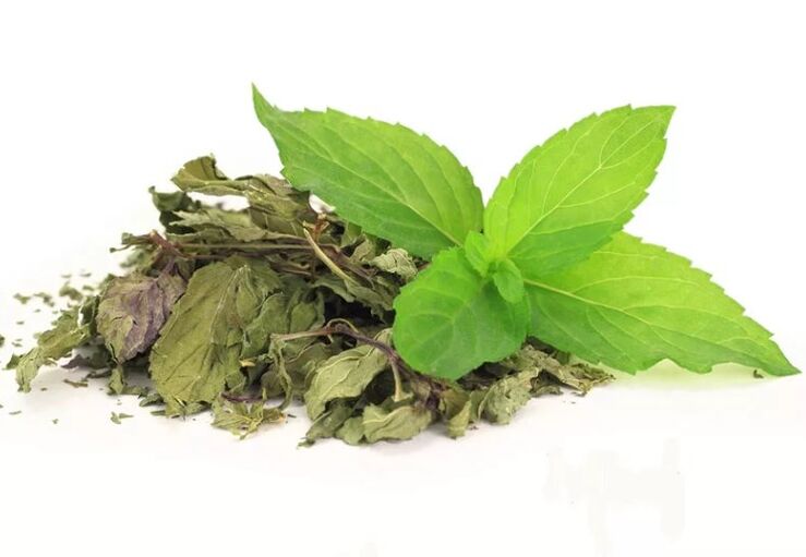 Zeleni čaj v abslimu